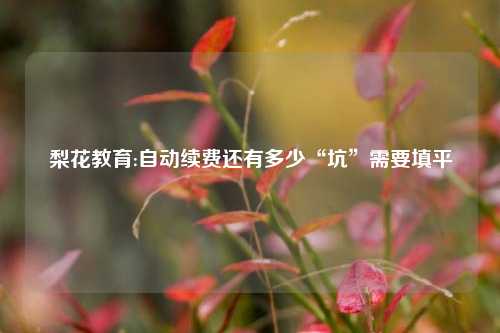 梨花教育:自动续费还有多少“坑”需要填平