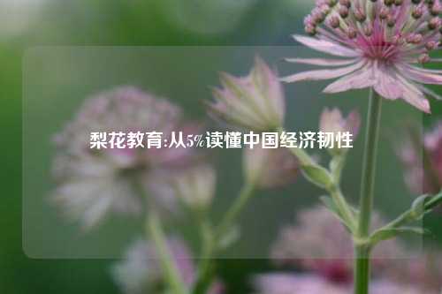 梨花教育:从5%读懂中国经济韧性