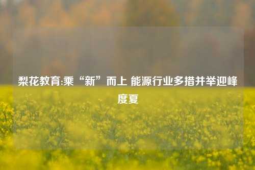 梨花教育:乘“新”而上 能源行业多措并举迎峰度夏
