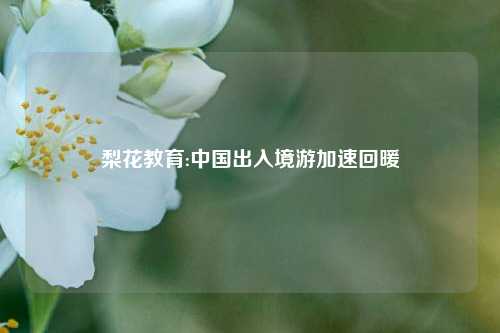 梨花教育:中国出入境游加速回暖