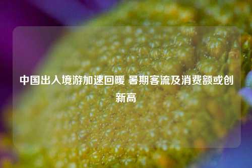 中国出入境游加速回暖 暑期客流及消费额或创新高