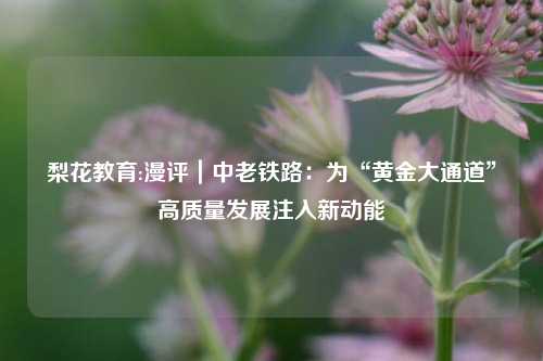 梨花教育:漫评｜中老铁路：为“黄金大通道”高质量发展注入新动能