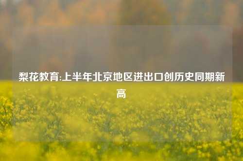梨花教育:上半年北京地区进出口创历史同期新高