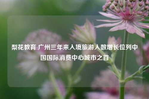 梨花教育:广州三年来入境旅游人数增长位列中国国际消费中心城市之首
