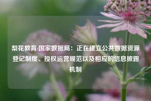 梨花教育:国家数据局：正在建立公共数据资源登记制度、授权运营规范以及相应的信息披露机制
