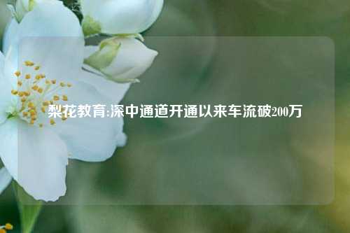 梨花教育:深中通道开通以来车流破200万