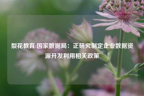 梨花教育:国家数据局：正研究制定企业数据资源开发利用相关政策
