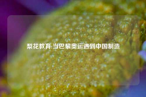 梨花教育:当巴黎奥运遇到中国制造