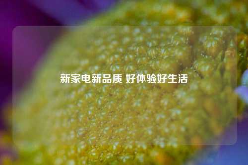 新家电新品质 好体验好生活