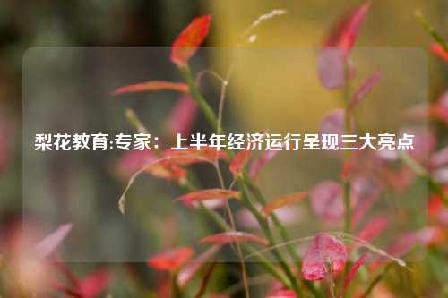 梨花教育:专家：上半年经济运行呈现三大亮点