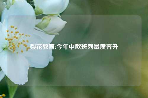 梨花教育:今年中欧班列量质齐升