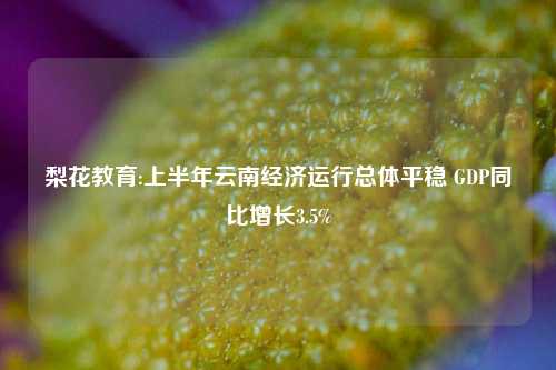 梨花教育:上半年云南经济运行总体平稳 GDP同比增长3.5%