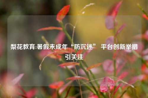 梨花教育:暑假未成年“防沉迷” 平台创新举措引关注