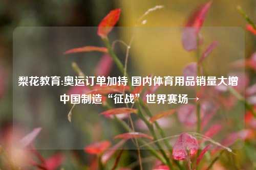 梨花教育:奥运订单加持 国内体育用品销量大增 中国制造“征战”世界赛场→