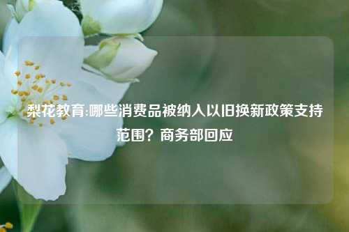 梨花教育:哪些消费品被纳入以旧换新政策支持范围？商务部回应