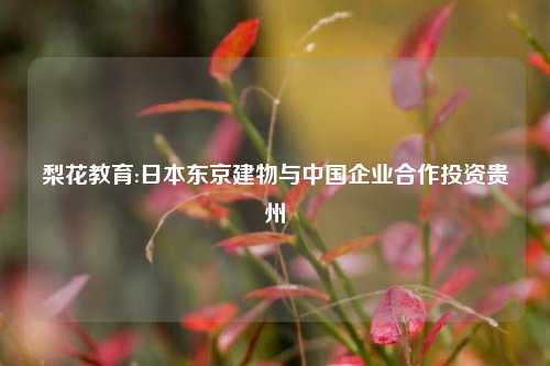梨花教育:日本东京建物与中国企业合作投资贵州