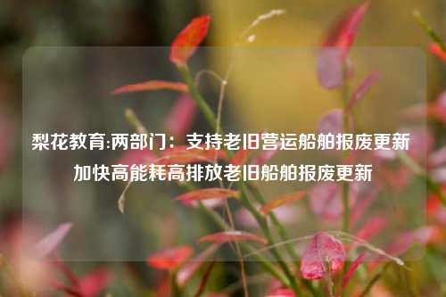 梨花教育:两部门：支持老旧营运船舶报废更新 加快高能耗高排放老旧船舶报废更新