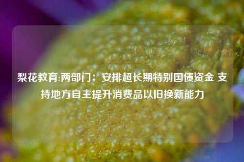 梨花教育:两部门：安排超长期特别国债资金 支持地方自主提升消费品以旧换新能力