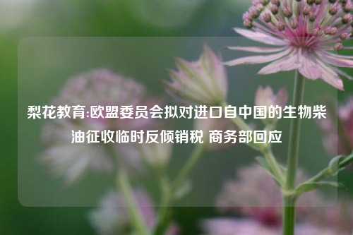 梨花教育:欧盟委员会拟对进口自中国的生物柴油征收临时反倾销税 商务部回应