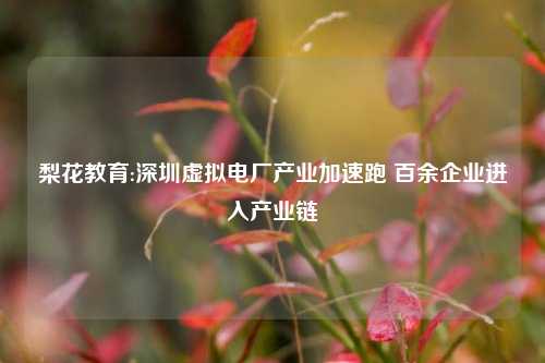梨花教育:深圳虚拟电厂产业加速跑 百余企业进入产业链