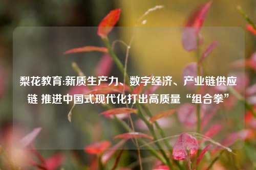 梨花教育:新质生产力、数字经济、产业链供应链 推进中国式现代化打出高质量“组合拳”