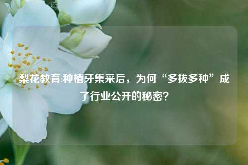 梨花教育:种植牙集采后，为何“多拔多种”成了行业公开的秘密？