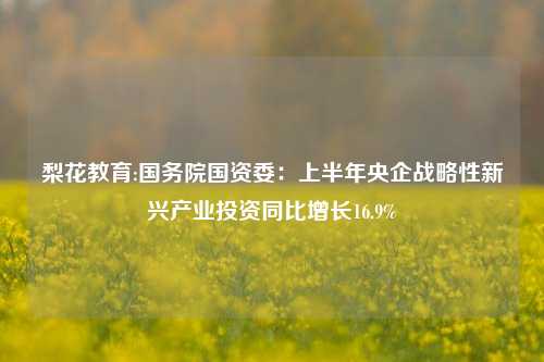 梨花教育:国务院国资委：上半年央企战略性新兴产业投资同比增长16.9%