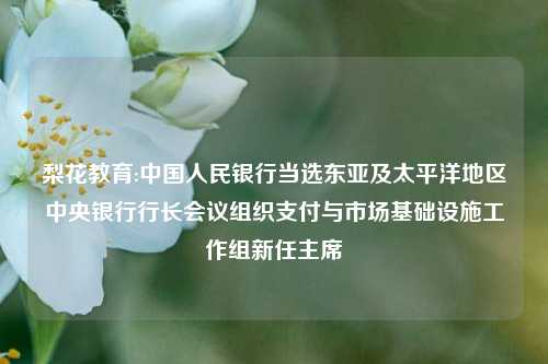 梨花教育:中国人民银行当选东亚及太平洋地区中央银行行长会议组织支付与市场基础设施工作组新任主席