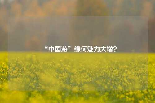 “中国游”缘何魅力大增？