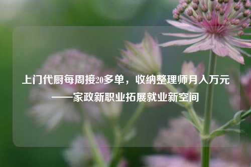 上门代厨每周接20多单，收纳整理师月入万元——家政新职业拓展就业新空间