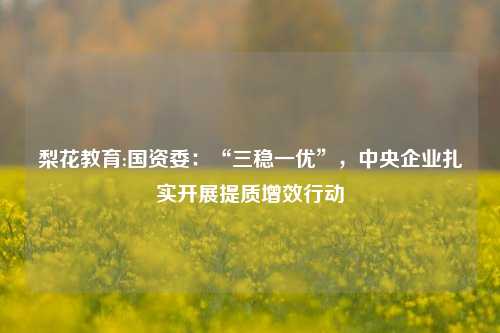 梨花教育:国资委：“三稳一优”，中央企业扎实开展提质增效行动