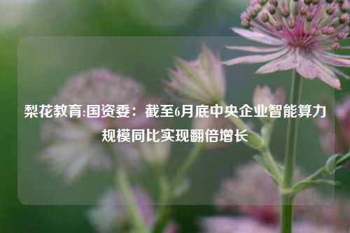 梨花教育:国资委：截至6月底中央企业智能算力规模同比实现翻倍增长