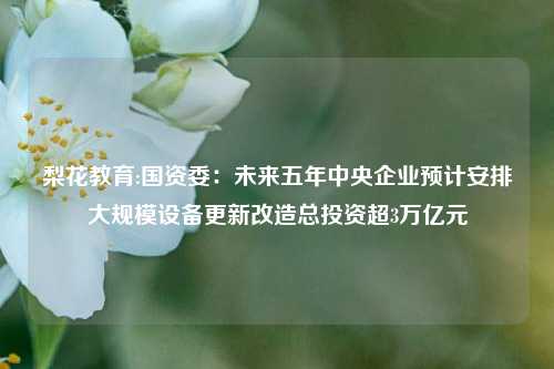 梨花教育:国资委：未来五年中央企业预计安排大规模设备更新改造总投资超3万亿元