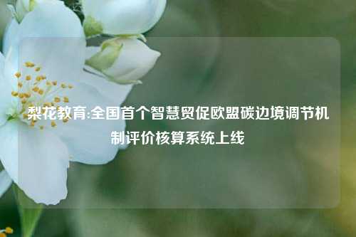 梨花教育:全国首个智慧贸促欧盟碳边境调节机制评价核算系统上线