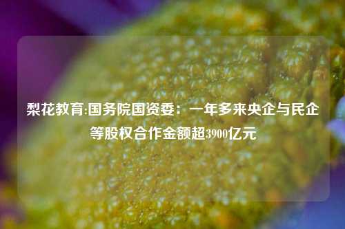 梨花教育:国务院国资委：一年多来央企与民企等股权合作金额超3900亿元