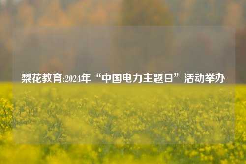 梨花教育:2024年“中国电力主题日”活动举办