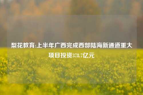 梨花教育:上半年广西完成西部陆海新通道重大项目投资378.7亿元