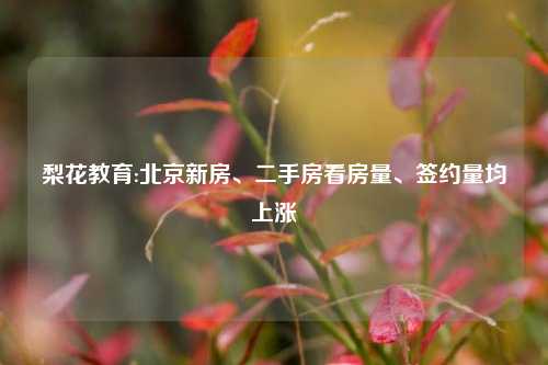 梨花教育:北京新房、二手房看房量、签约量均上涨
