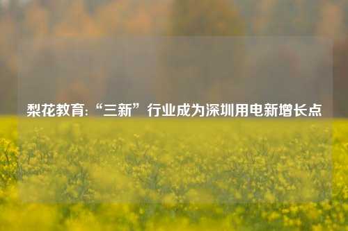 梨花教育:“三新”行业成为深圳用电新增长点