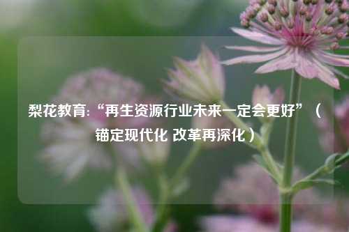 梨花教育:“再生资源行业未来一定会更好”（锚定现代化 改革再深化）