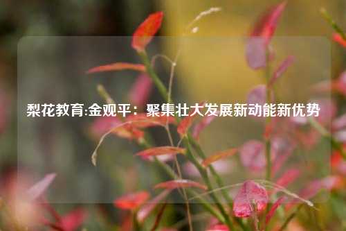 梨花教育:金观平：聚集壮大发展新动能新优势
