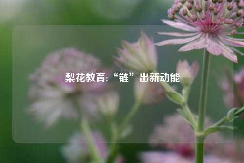 梨花教育:“链”出新动能