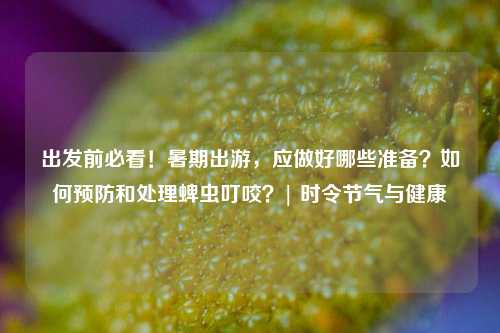 出发前必看！暑期出游，应做好哪些准备？如何预防和处理蜱虫叮咬？| 时令节气与健康