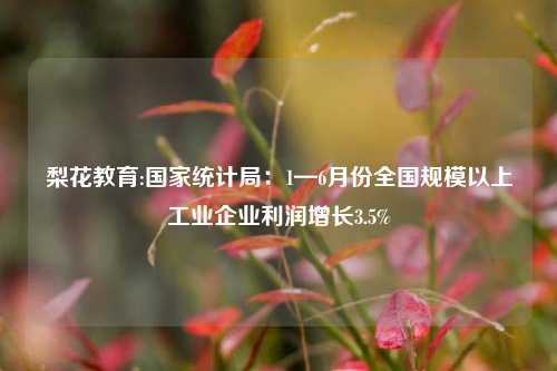 梨花教育:国家统计局：1—6月份全国规模以上工业企业利润增长3.5%