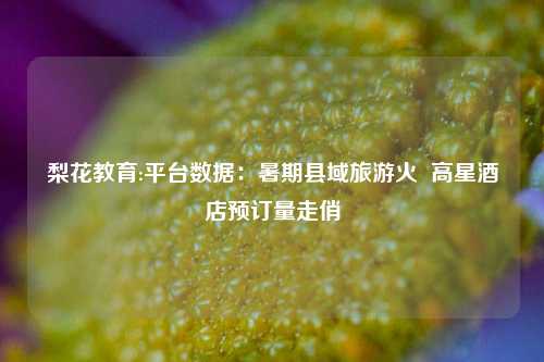 梨花教育:平台数据：暑期县域旅游火  高星酒店预订量走俏