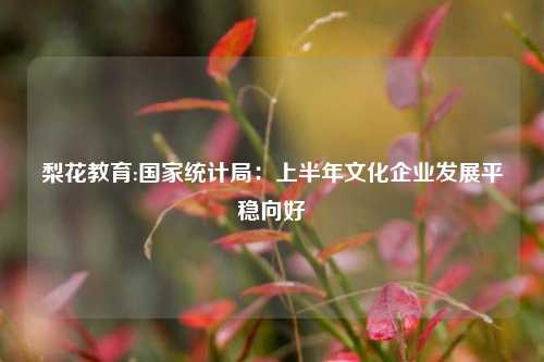 梨花教育:国家统计局：上半年文化企业发展平稳向好