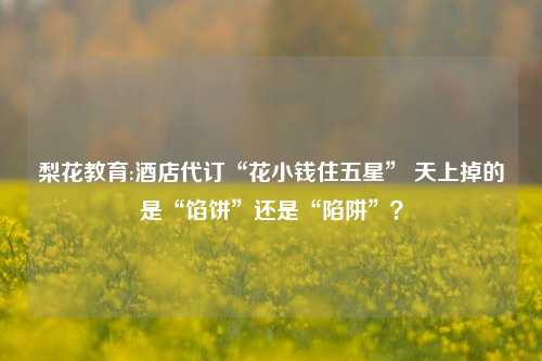 梨花教育:酒店代订“花小钱住五星” 天上掉的是“馅饼”还是“陷阱”？