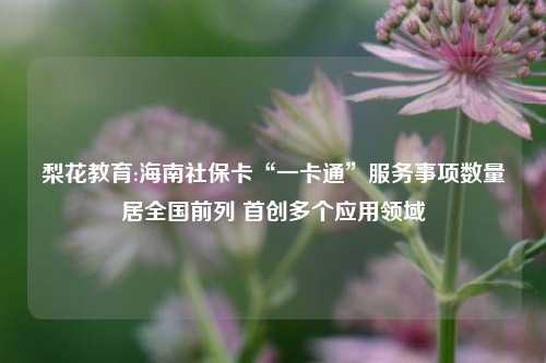 梨花教育:海南社保卡“一卡通”服务事项数量居全国前列 首创多个应用领域