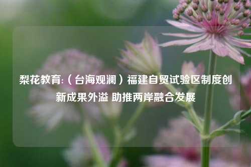 梨花教育:（台海观澜）福建自贸试验区制度创新成果外溢 助推两岸融合发展