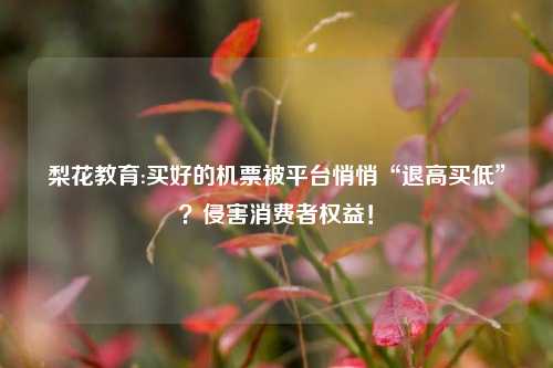 梨花教育:买好的机票被平台悄悄“退高买低”？侵害消费者权益！